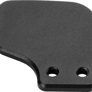 Neo X Hub paddle upgrade kit (dual)